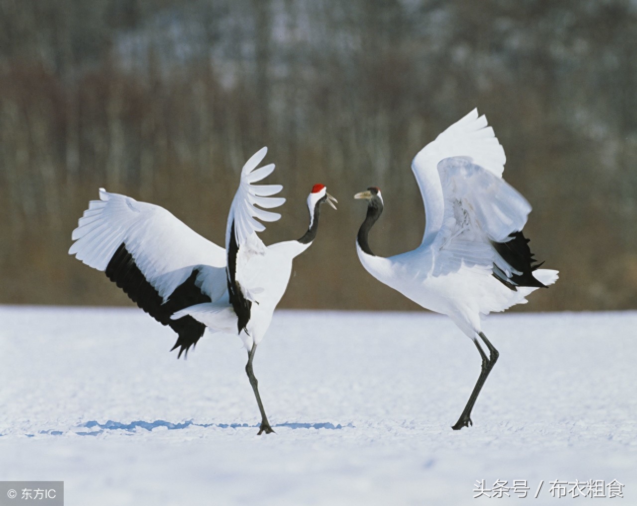 哪位高人总结了老年生活8句话，句句精辟，值得珍藏(图4)