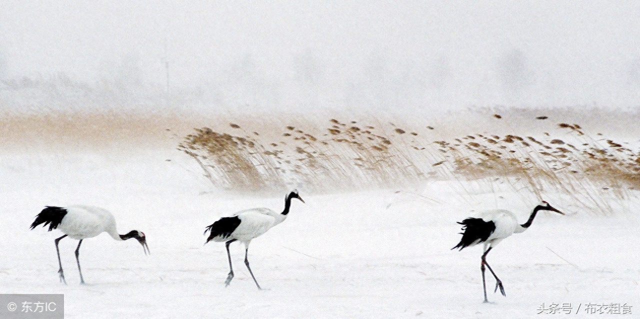 哪位高人总结了老年生活8句话，句句精辟，值得珍藏(图5)