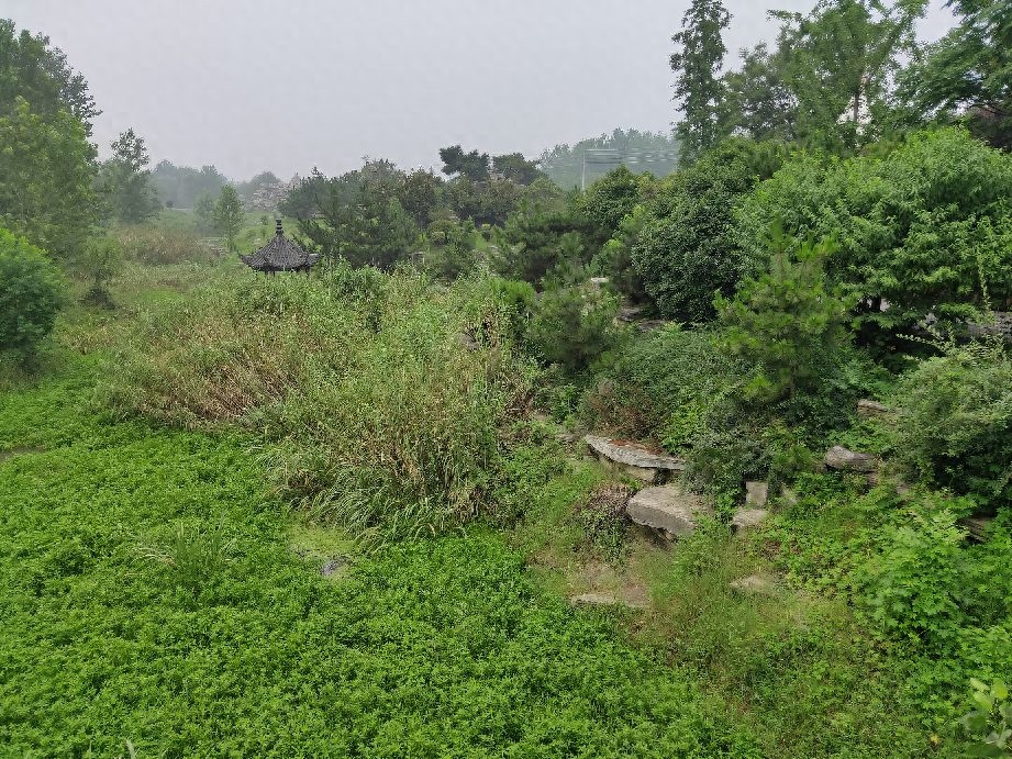 养花，犹如经营一段美好的婚姻(图3)