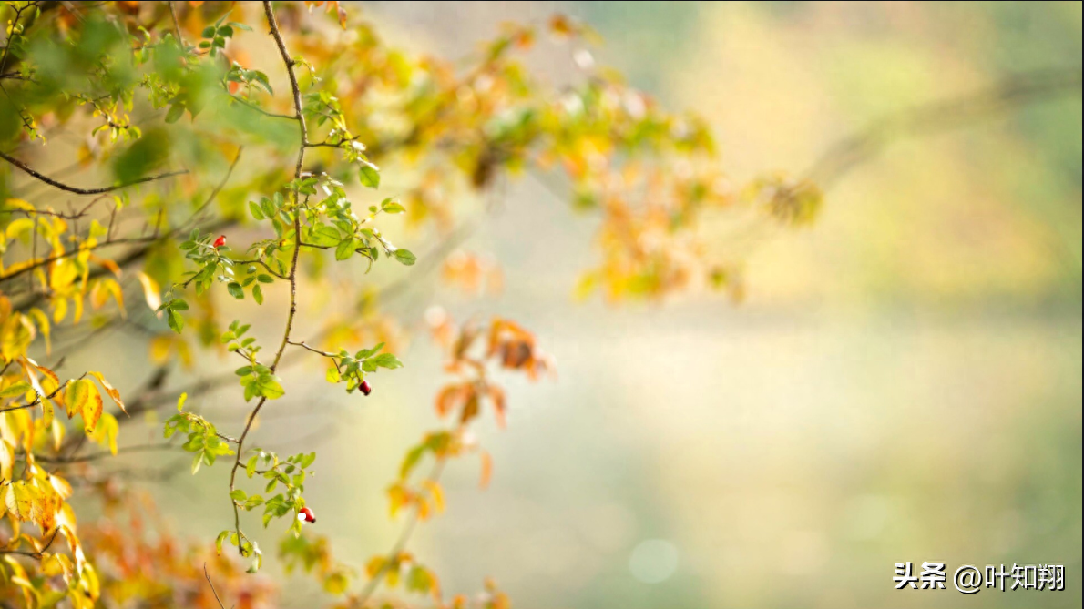 君子慎独，岁月方休(图1)