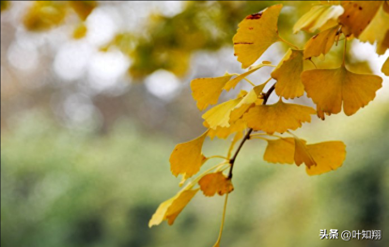 君子慎独，岁月方休(图2)