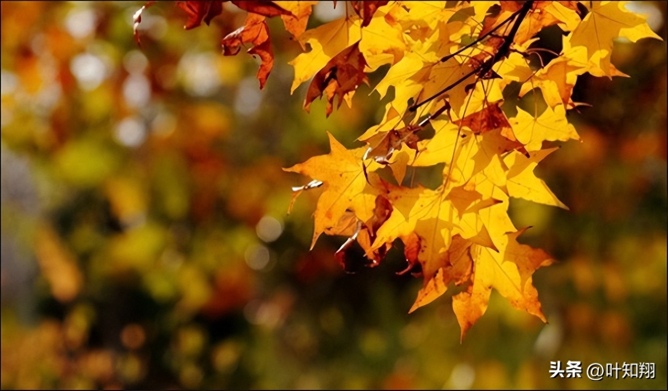 君子慎独，岁月方休(图3)