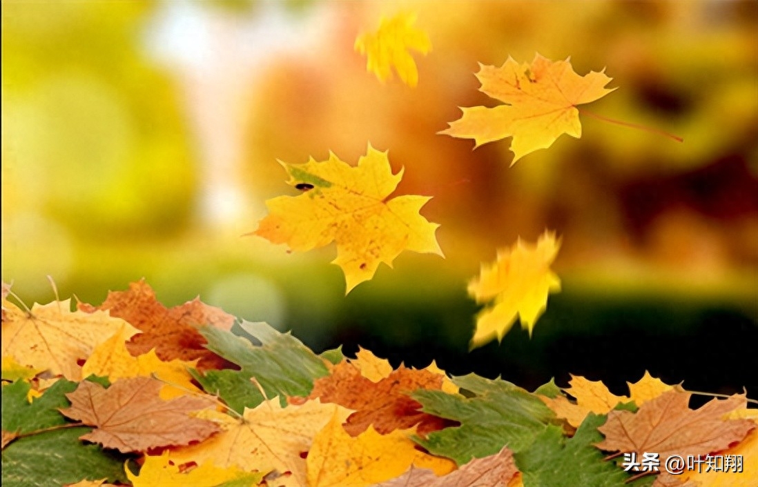 君子慎独，岁月方休(图5)