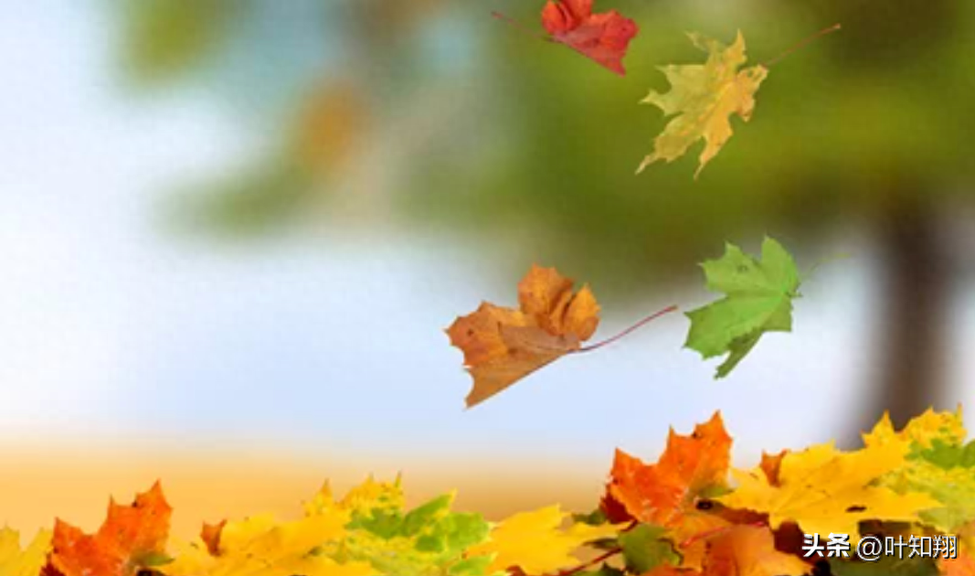 君子慎独，岁月方休(图7)