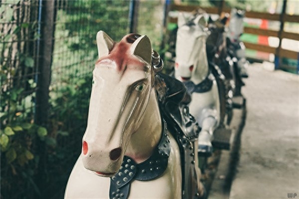 跟女朋友说的简短情话，简短励志，读完让人泪目(图2)