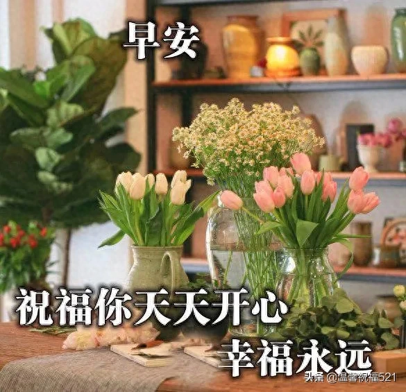 最美的清晨问候表情壁纸图片，新的一天阳光励志的早安句子(图5)