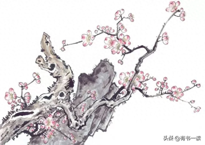 老子《道德经》50句，流传了2500多年的生命之书，道尽人生智慧(图7)