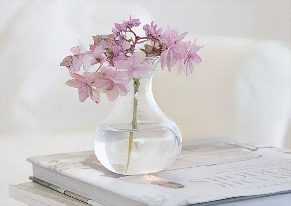 喜欢安静的简短唯美句子：安静的时光仿佛可以抚平一切悲伤和不快(图1)