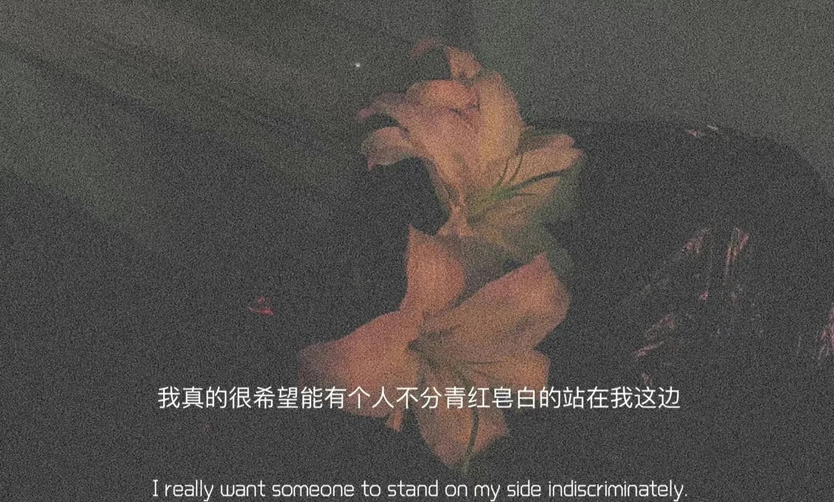 情绪文案｜“肆意生长，热爱无休”(图4)