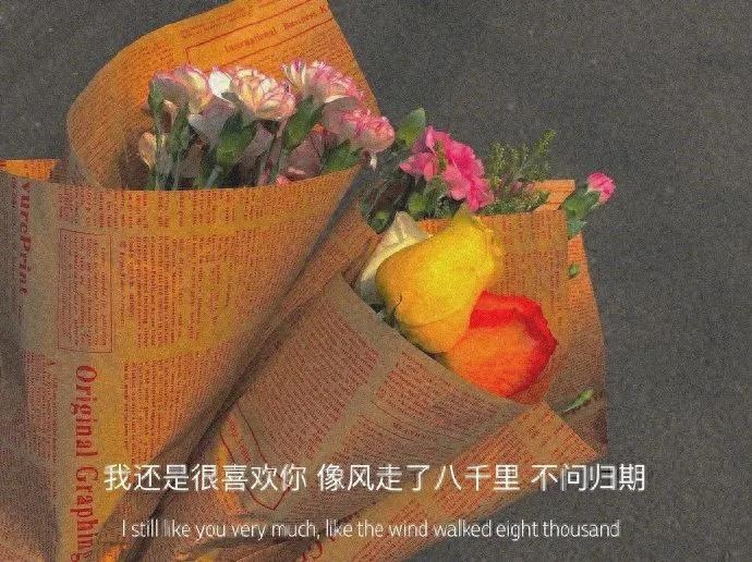 情绪文案｜“肆意生长，热爱无休”(图11)