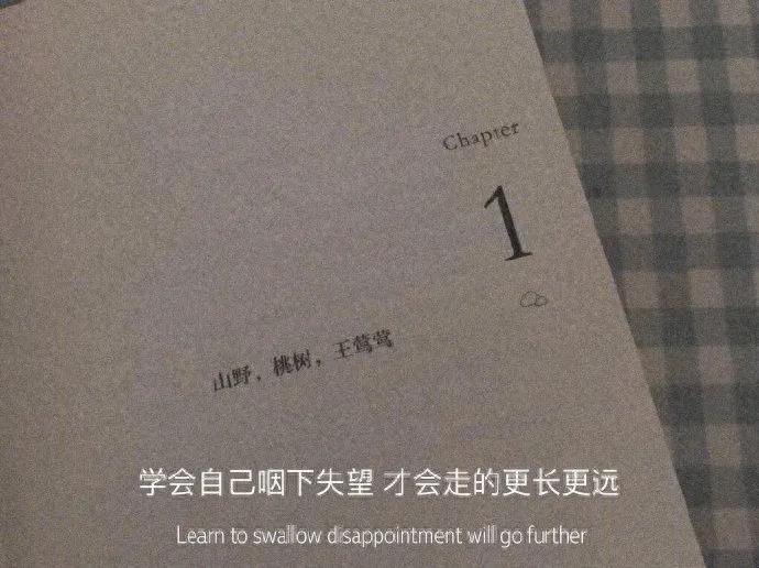 情绪文案｜“肆意生长，热爱无休”(图12)