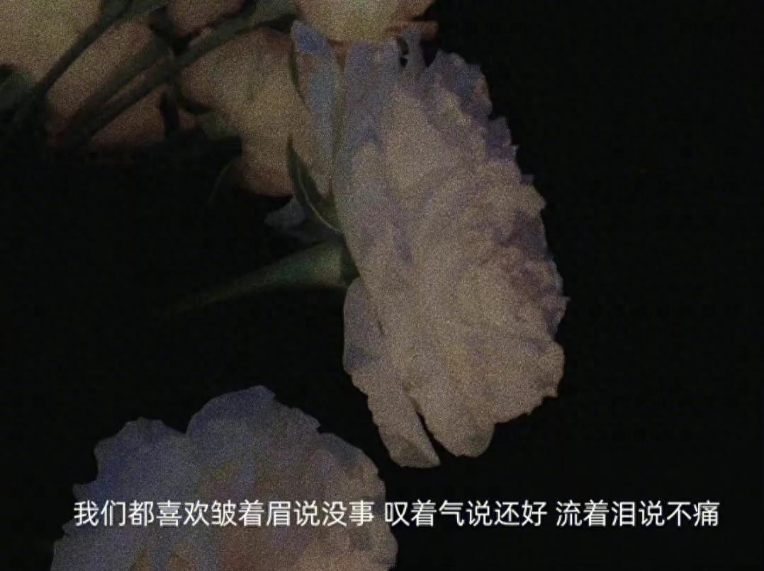 情绪文案｜“肆意生长，热爱无休”(图13)