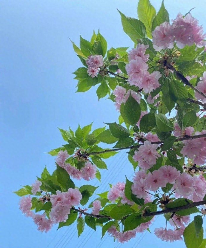 发微信的秒赞文案说说：我用执着，烧死了所有的幼稚和任性(图3)