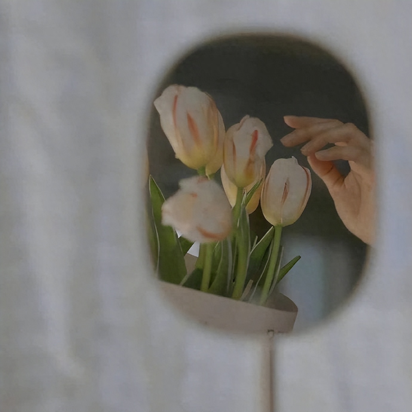 发微信的秒赞文案说说：我用执着，烧死了所有的幼稚和任性(图8)