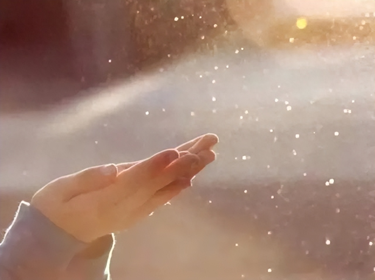 发微信的秒赞文案说说：我用执着，烧死了所有的幼稚和任性(图9)