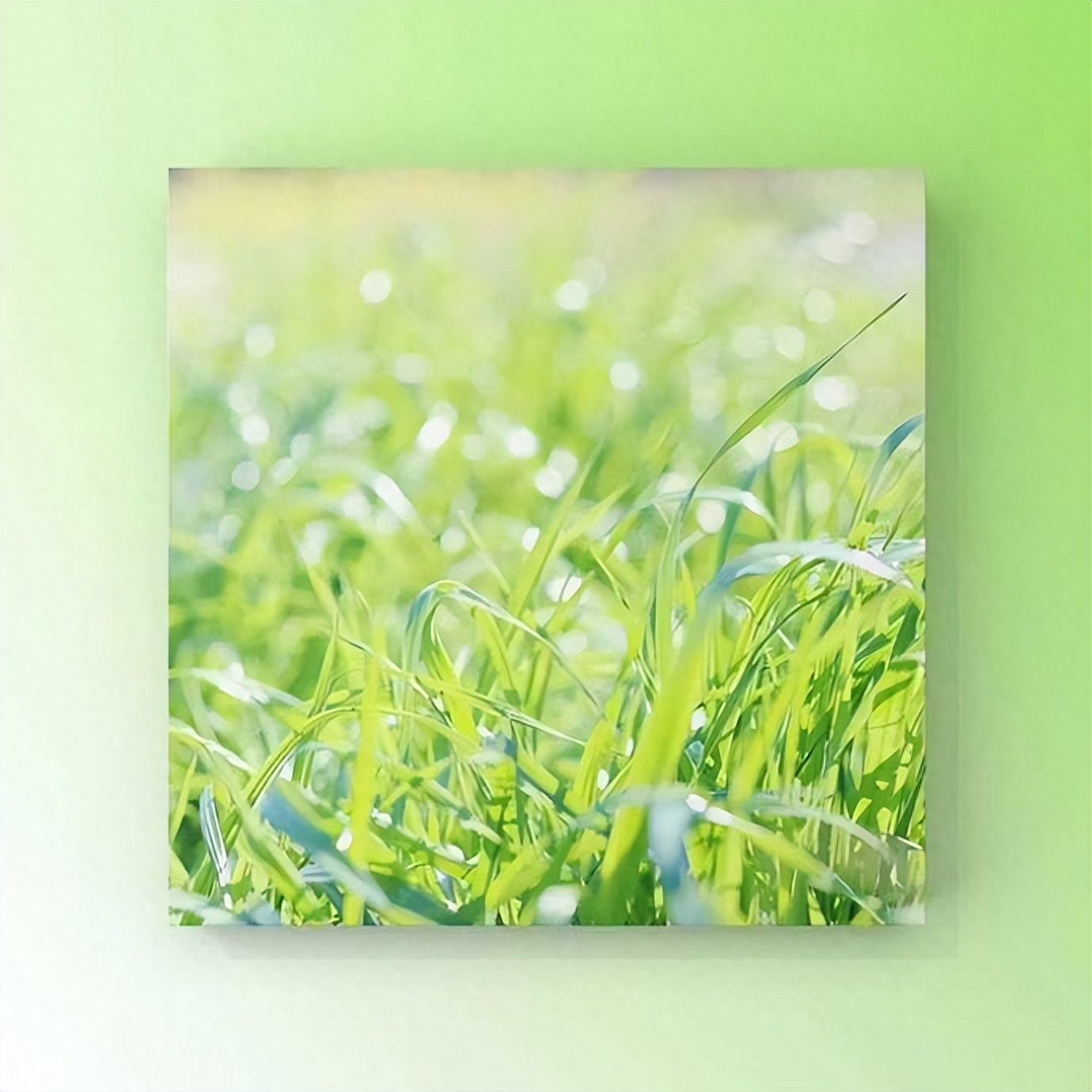 发微信的秒赞文案说说：我用执着，烧死了所有的幼稚和任性(图14)