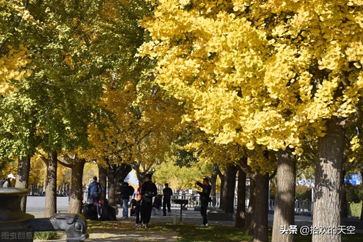 文案摘录丨烹茶煮酒别古秋(图2)