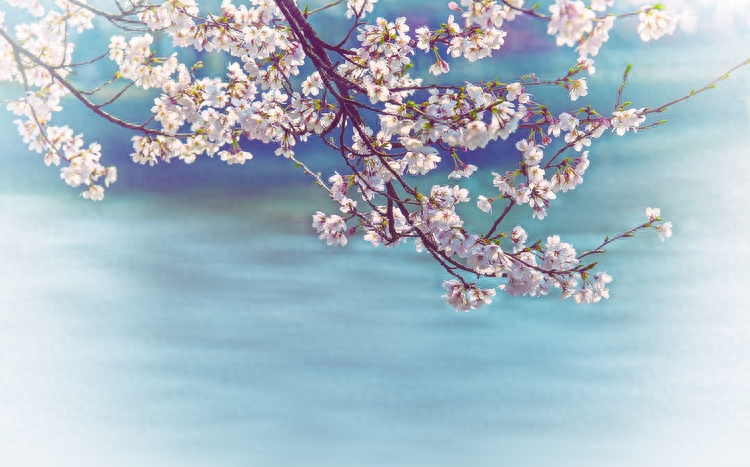 禅语：与人为善，才能善始善终(图2)