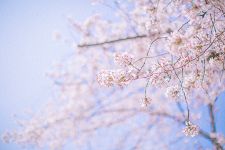 禅语：与人为善，才能善始善终(图3)