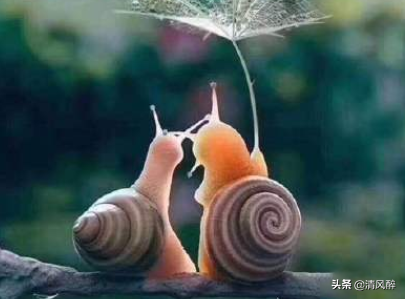 抖音最流行励志句子说说(图3)