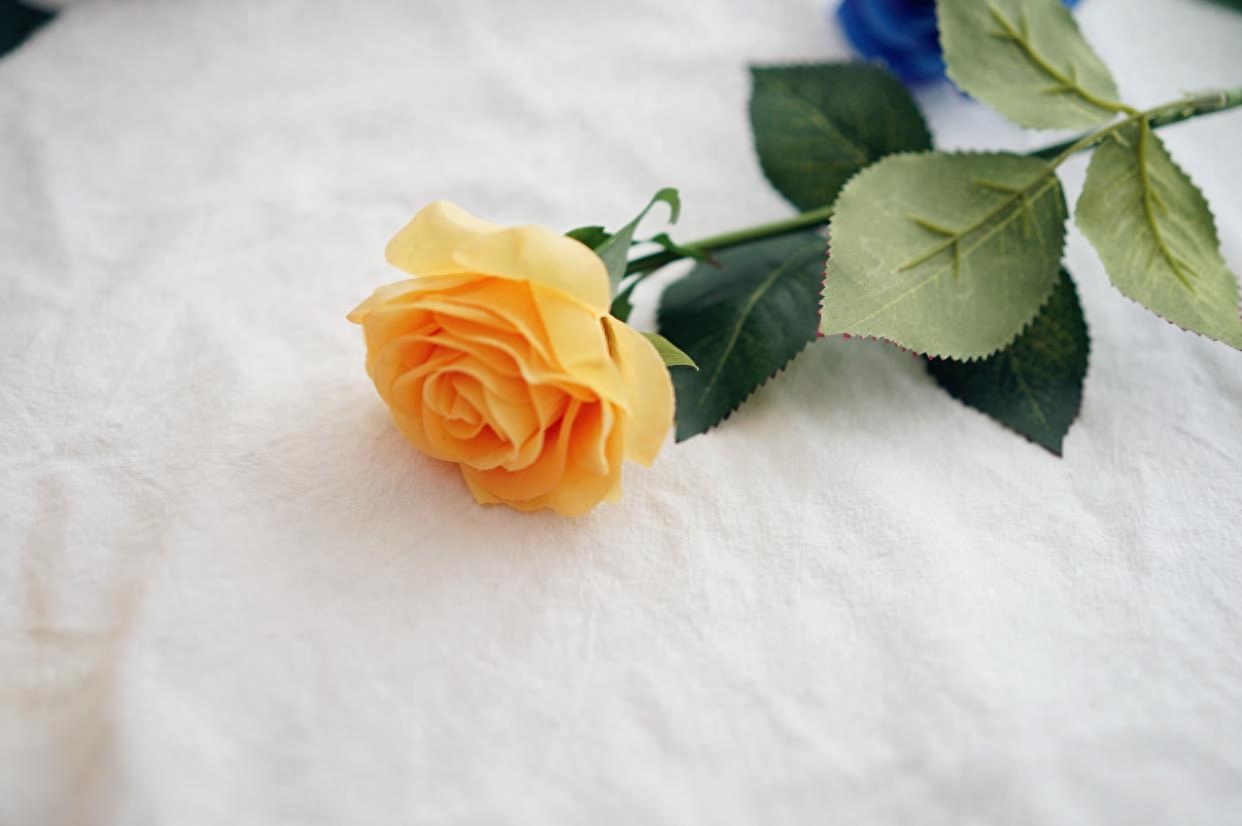 不适合交往的男人，会和你说这样的话，要心知肚明，减少投入(图2)