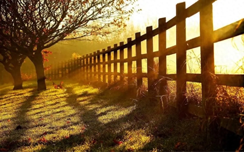 6句话发给好久不见的她，女人心动想你(图4)