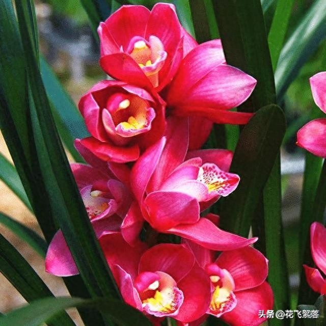 暑未消，秋将至，时光低眉处，织一纸素心，诉一场往事如烟(图4)