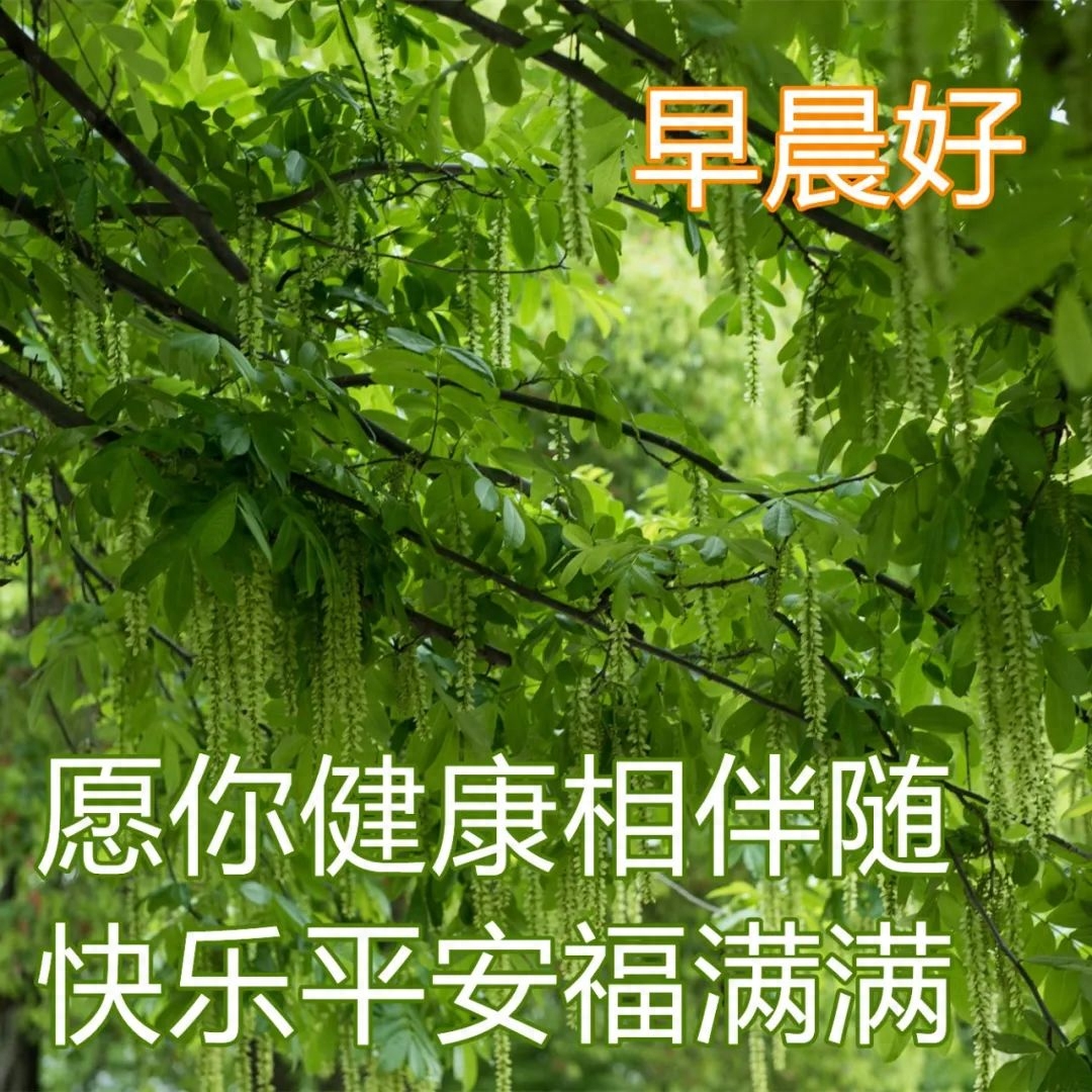 2022.04.09早安心语，早上好励志问候语，愿你每天开开心心(图4)