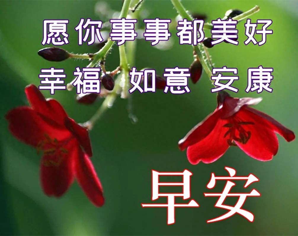 2022.04.09早安心语，早上好励志问候语，愿你每天开开心心(图6)