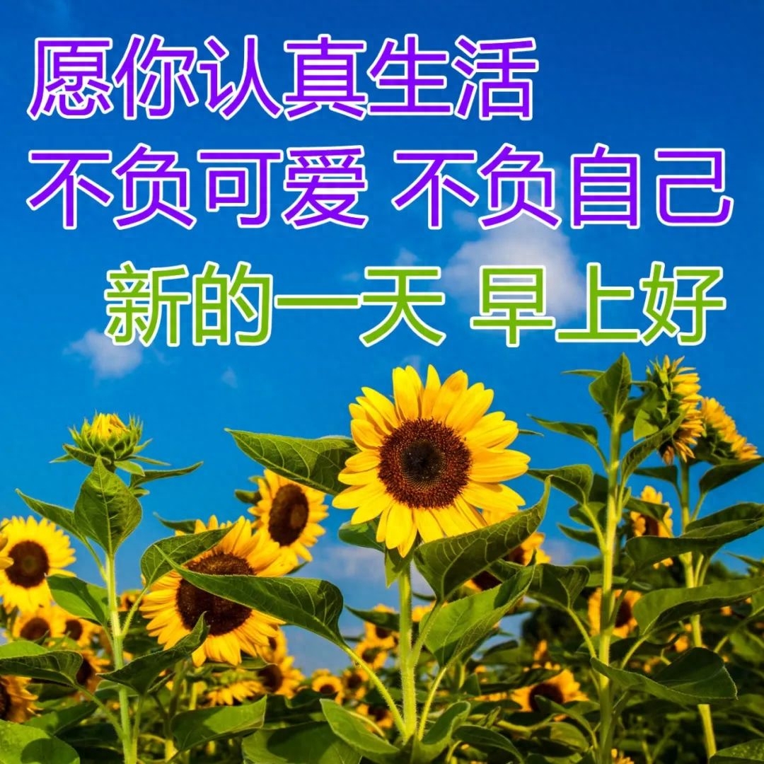2022.04.09早安心语，早上好励志问候语，愿你每天开开心心(图9)