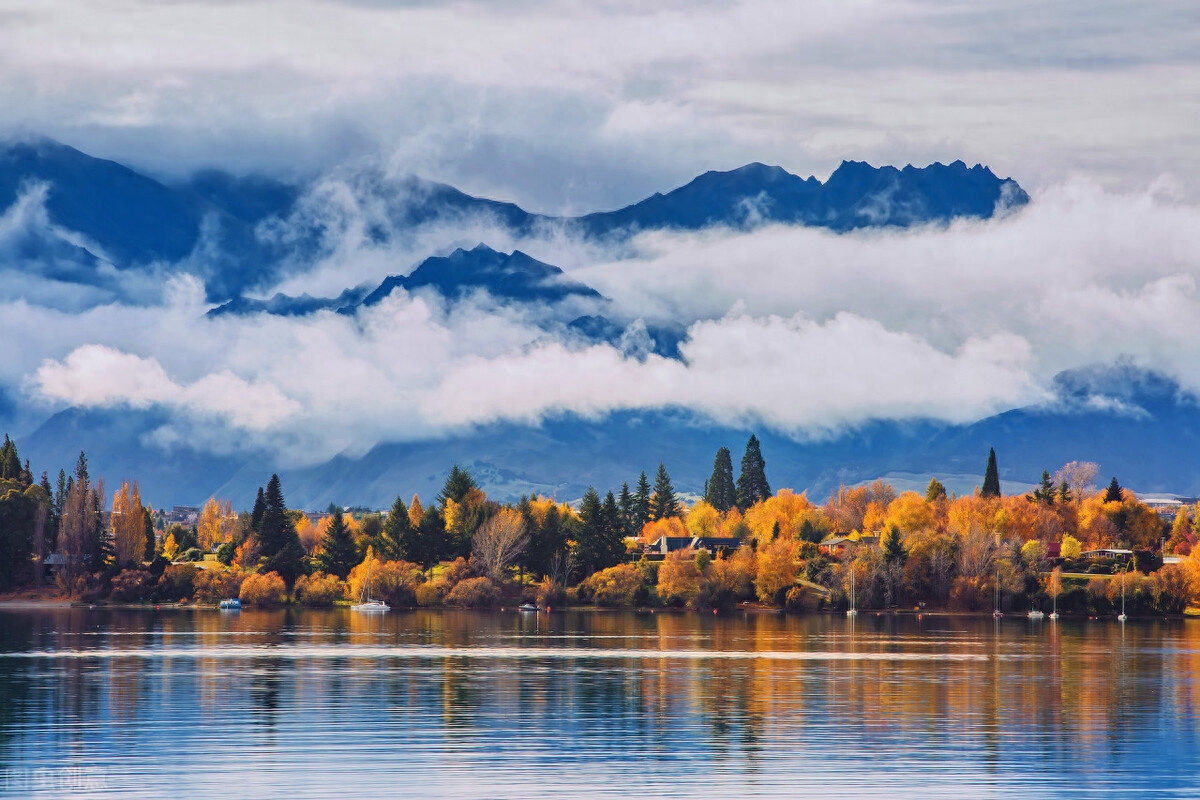 入山偷摘果，趁夜敢翻墙。星月深知趣，清辉映橘霜(图10)