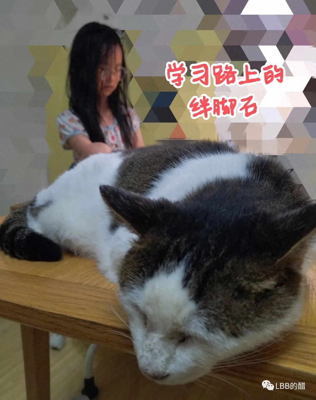 果子语录：一百四十八(图1)