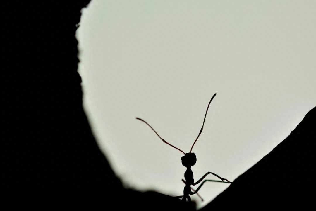 《聊斋志异》9句名言，说破了生活的真相(图5)