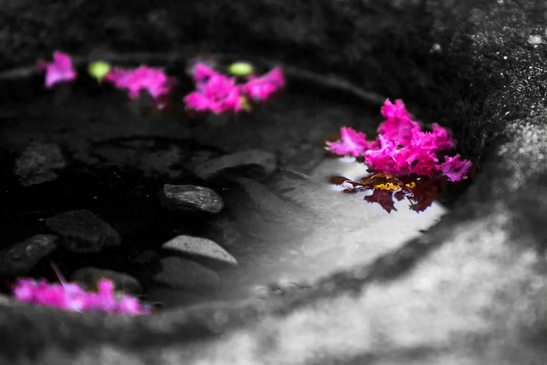 《聊斋志异》9句名言，说破了生活的真相(图7)