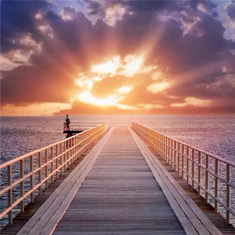 网络爆红音乐《执迷不悟》：毕竟几人真得鹿，不知终日梦为鱼(图1)