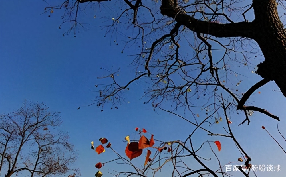 执迷不悟背景欣赏(图2)