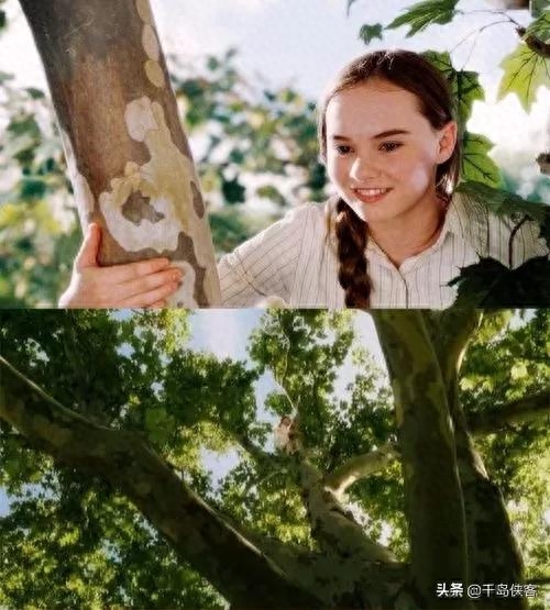 《怦然心动》受用一生的经典语录(图1)