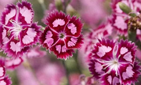 正能量人生感悟说说，感恩生活的唯美意境心语，最美人生感悟(图2)