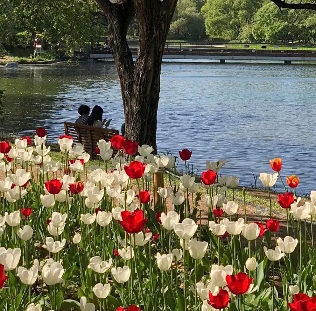 58句很丧的伤感说说(图5)