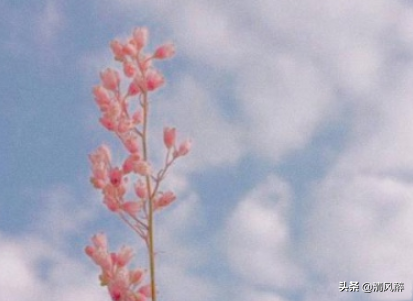 逛街的幽默朋友圈心情说说(图3)