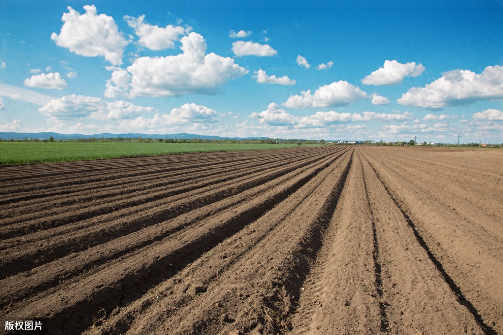 俗语“只有累死的牛，没有耕坏的地”，背后的深刻含义你知道吗？(图2)