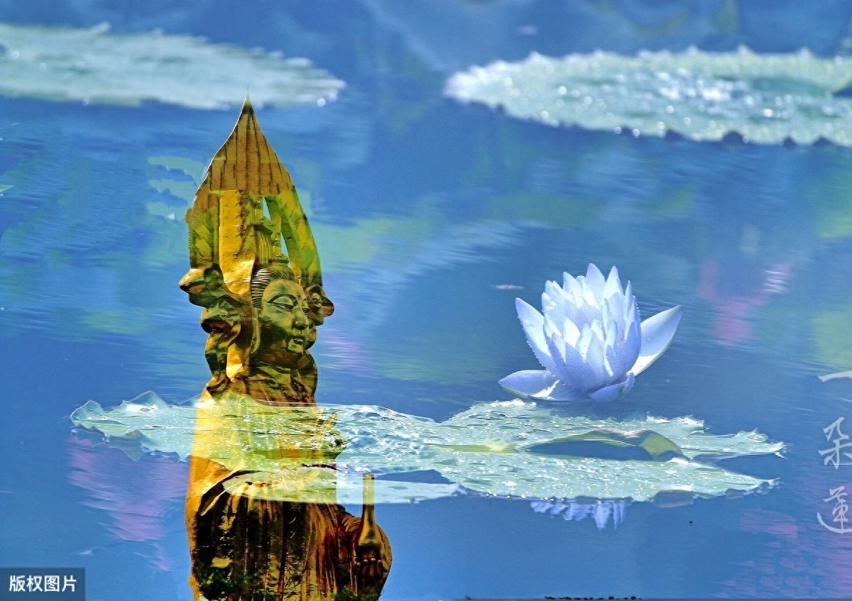 俗语“只有累死的牛，没有耕坏的地”，背后的深刻含义你知道吗？(图5)