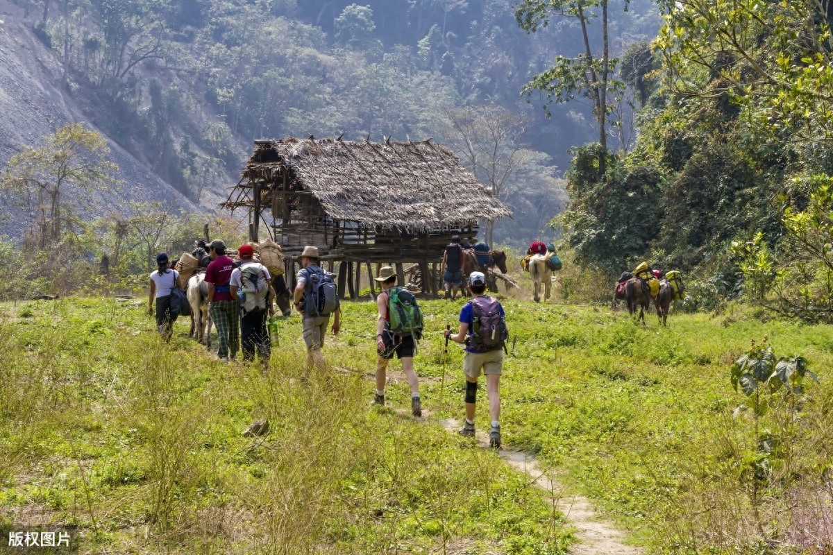 俗语“只有累死的牛，没有耕坏的地”，背后的深刻含义你知道吗？(图6)
