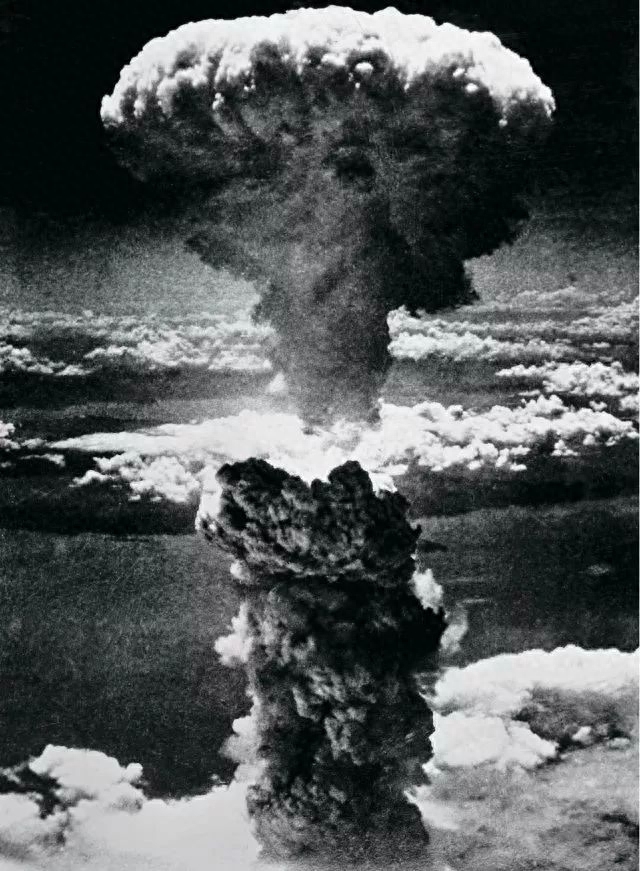 国家公祭日｜勿忘国殇，祈愿和平(图5)