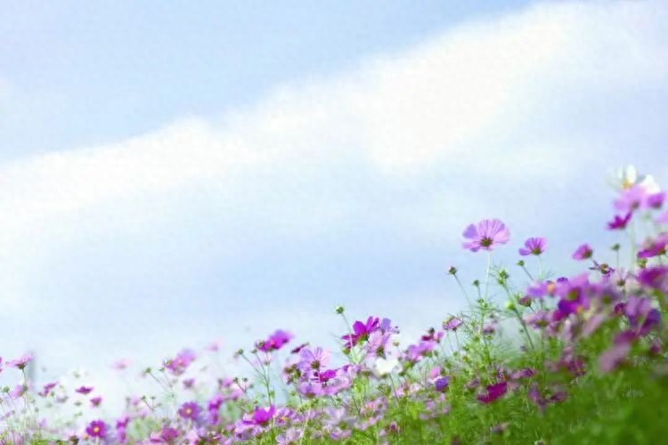 感谢老顾客的信任与支持说说：与您共成长，感恩永难忘(图4)