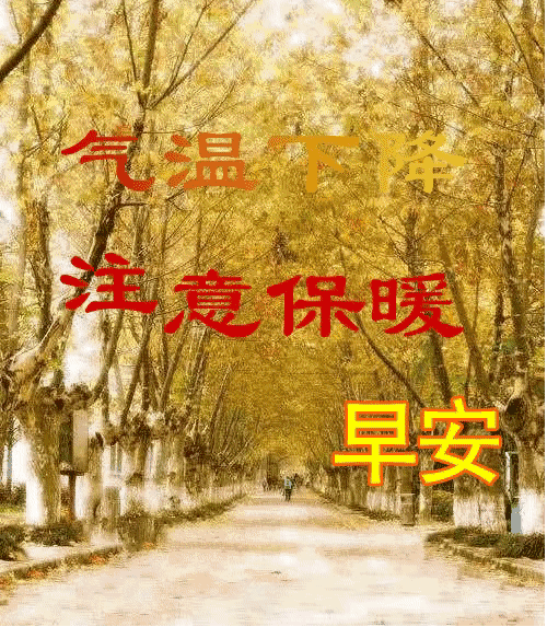 一路相伴，愿友谊地久天长，我为您祝福：好人一生平安，早安(图1)