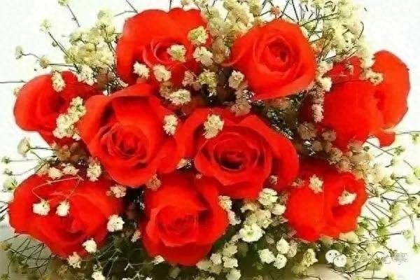 正月十六，顺顺利利，好运伴随你(图4)