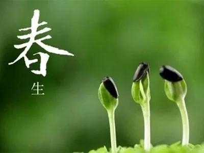 正月十六春天的祝福语精选，适合朋友圈文案(图4)
