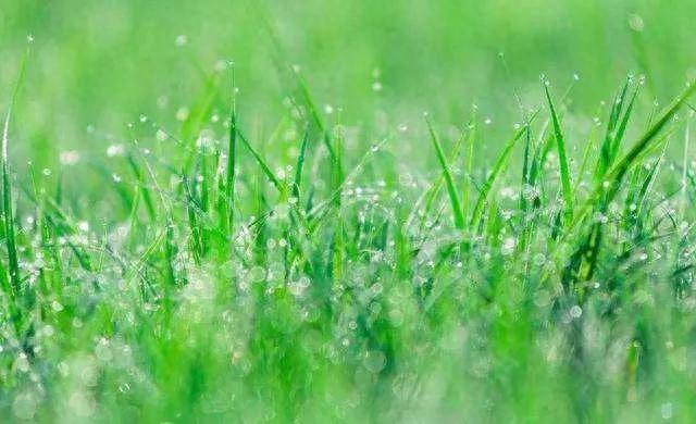 正月十六春天的祝福语精选，适合朋友圈文案(图5)