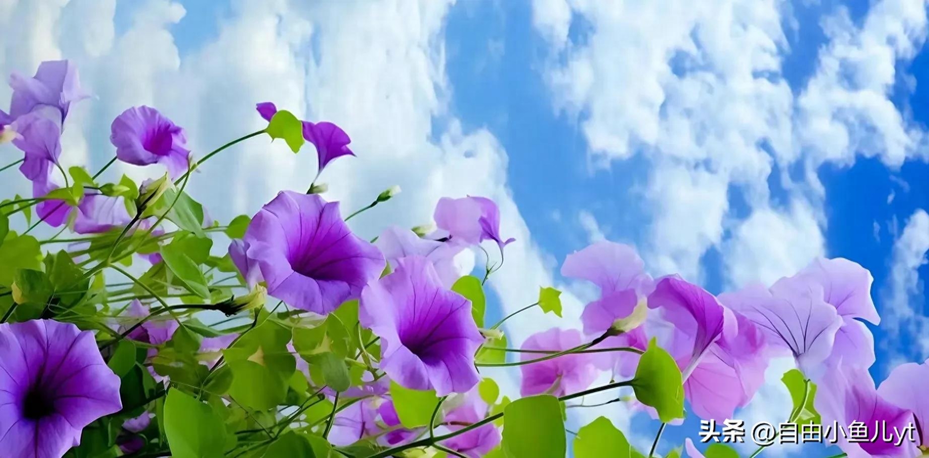 追寻美景，绝不止步，一道美丽的风景线，走到哪，都是焦点。(图3)